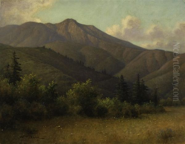 Mount Tamalpais With Redwoods Oil Painting by William Barr