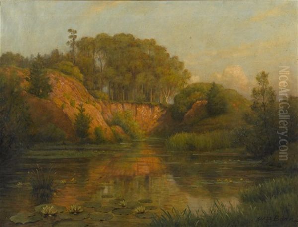 Evening Sunshine, Golden Gate Park Oil Painting by William Barr