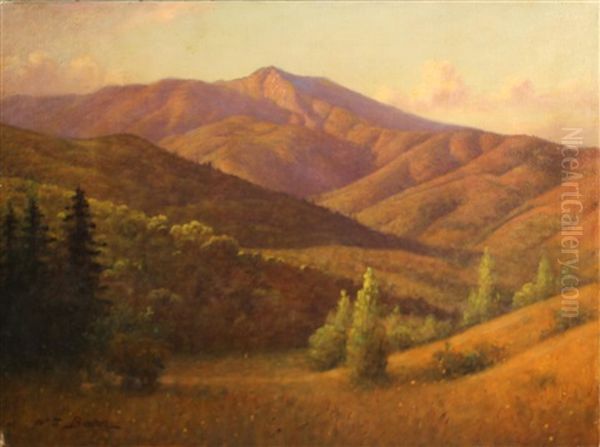 Marin Hillside, Mount Tamalpais Oil Painting by William Barr