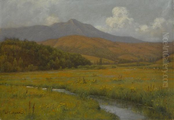 Wildflowers Along A Stream Beneath Mount Tamalpais Oil Painting by William Barr