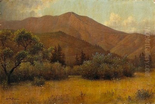 Tamalpais With Ceaonothus Oil Painting by William Barr