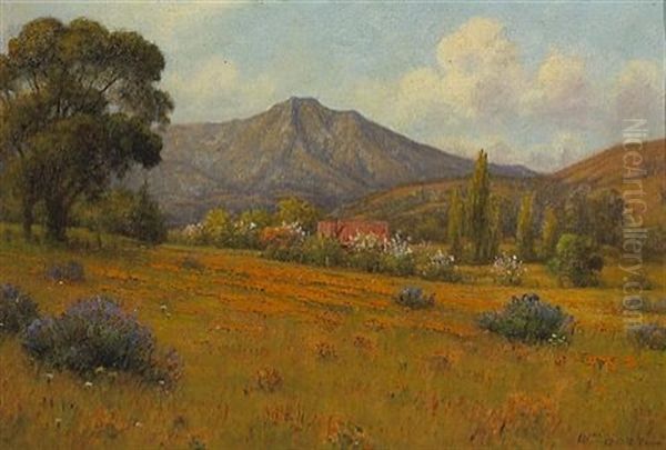 Tamalpais From Greenbrae Oil Painting by William Barr