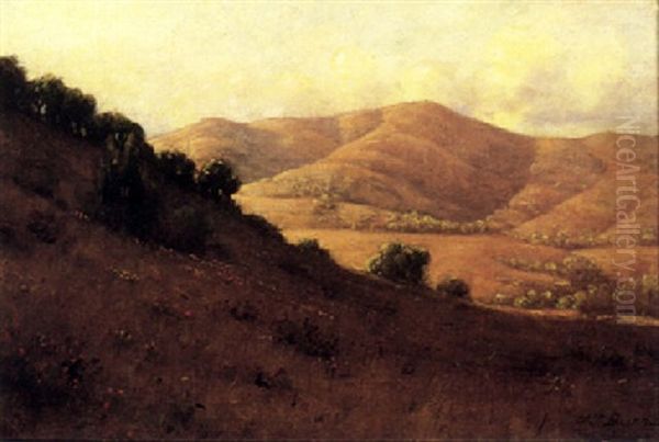 Marin Hills Oil Painting by William Barr