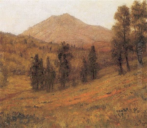 Wildflowers Near Mt. Tamalpais Oil Painting by William Barr