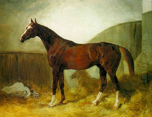 A Bay Racehorse In A Stable Oil Painting by Thomas Barratt Of Stockbridge