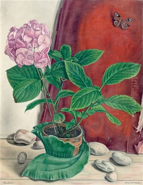 Hortensia Oil Painting by Aime Victor Barraud