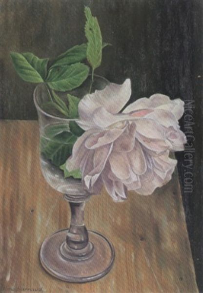 Stillleben Mit Weisser Blute In Einem Glas Oil Painting by Aime Victor Barraud