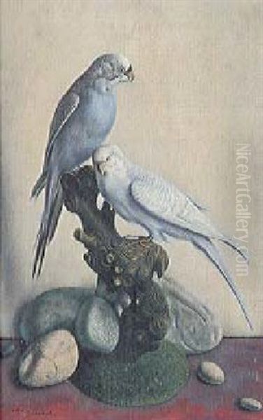 Zwei Blaue Wellensittiche Oil Painting by Aime Victor Barraud