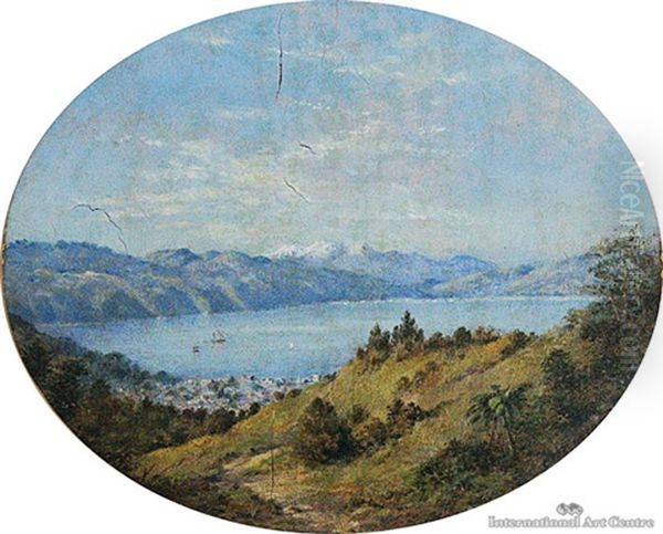 Wellington Harbor Oil Painting by Charles Decimus Barraud