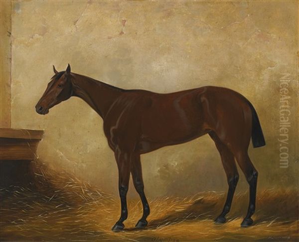 Olympia, A Dark Bay Racehorse In A Loose Box Oil Painting by Henry Barraud