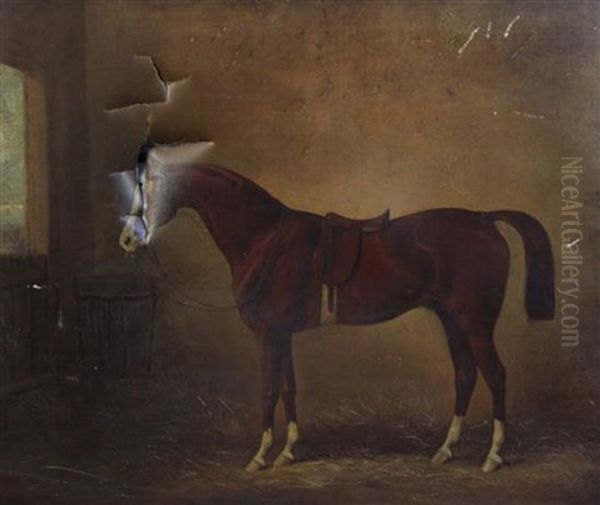 Portrait Of The Racehorse Nicholon By Orlando-muscouileu Dam By Camel Foaled 1857 Sold To Napoleon Iii Oil Painting by Henry Barraud