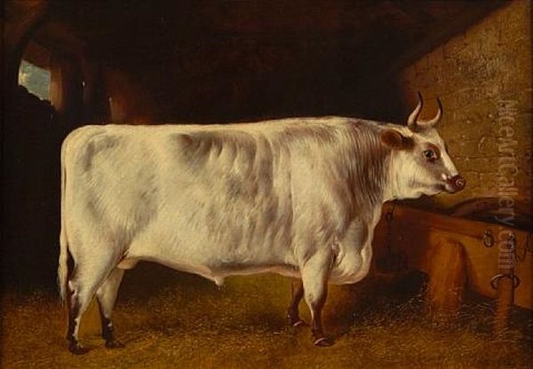 A Prize Bull In A Stable (+ A Prize Bull In A Stall; 2 Works) Oil Painting by Henry Barraud