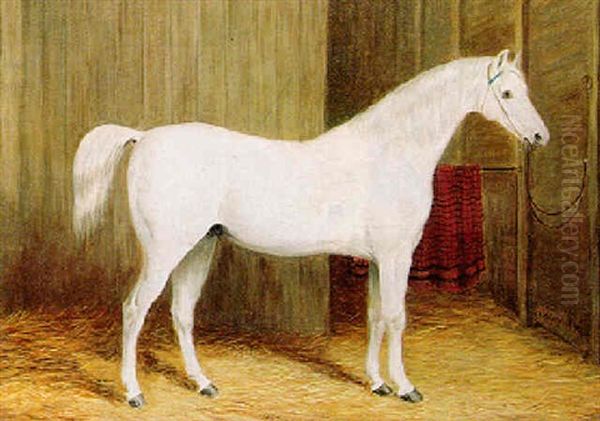 A Grey Hunter In A Stable Oil Painting by Henry Barraud