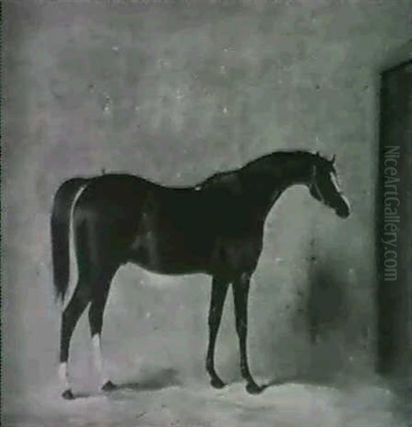 St Albans, A Chestnut Racehorse In A Stable Oil Painting by Henry Barraud