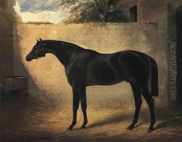 Mr. Thomas Parr's Bay Colt Fisherman In A Yard Oil Painting by Henry Barraud