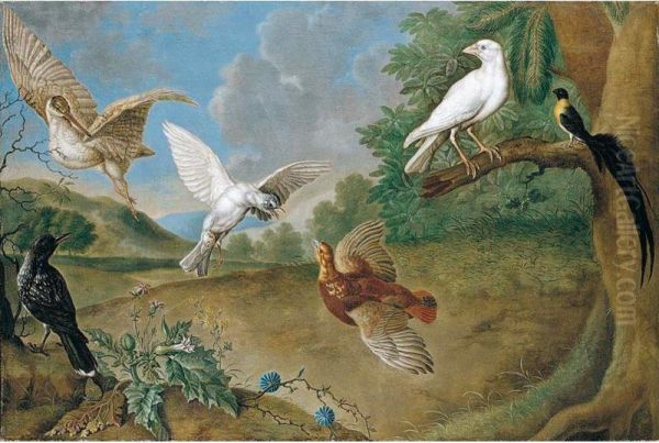 A Landscape With A Woodcock, Partridge, Bird Of Paradise And Other Birds Oil Painting by Carl Adolph