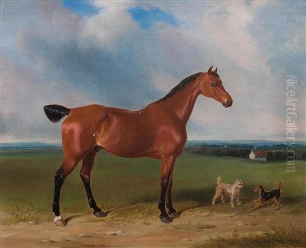 A Bay Hunter And Terriers And Landscape Oil Painting by William Barraud