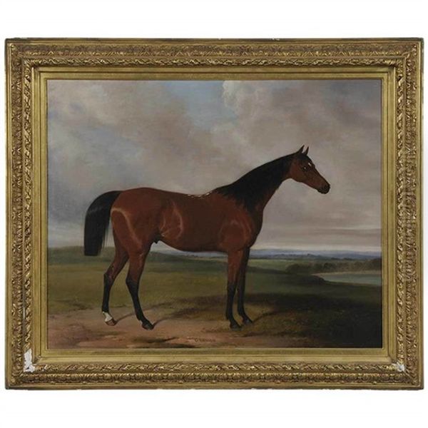 The Bay Gelding Oil Painting by William Barraud