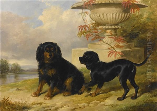 Portrait Of Lord Methuen's Spaniels, Gipsy And Fairy Oil Painting by William Barraud