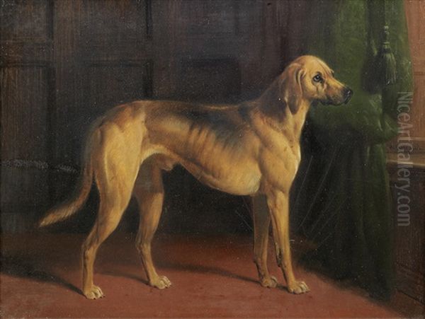 Hound In An Interior Oil Painting by William Barraud