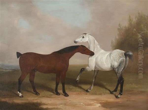 Two Horses Nipping by William Barraud