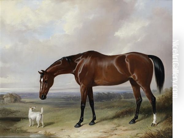 A Bay Hunter And A Terrier In A Landscape by William Barraud