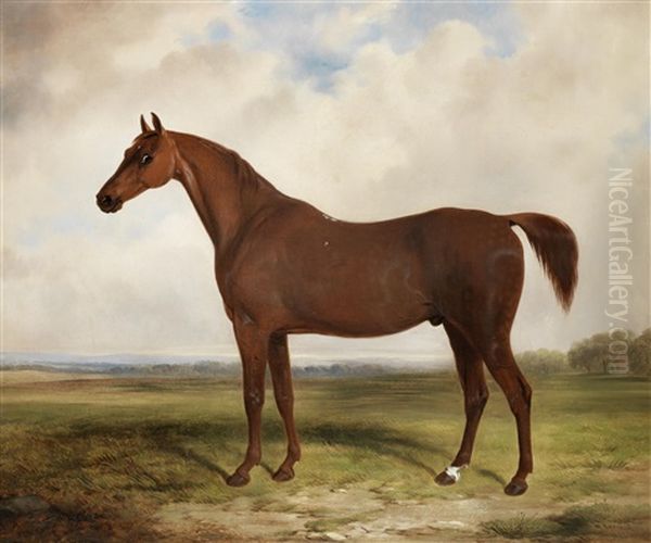 A Chestnut Horse In A Landscape Oil Painting by William Barraud