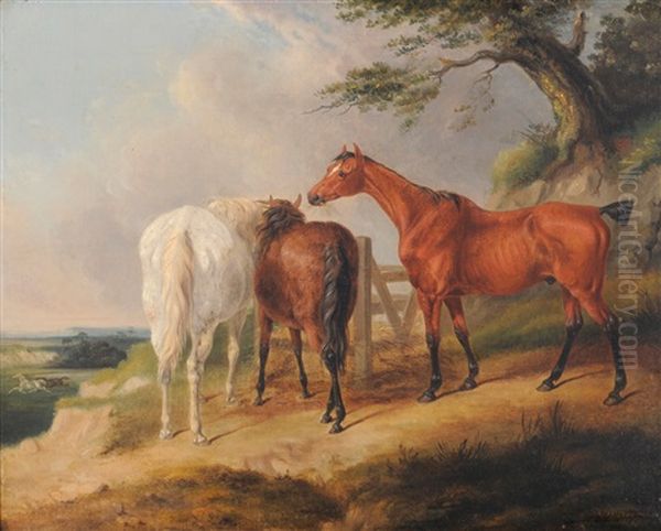 Horses Eating Hay Beside A Tree With Two Further Horses Galloping Beyond Oil Painting by William Barraud