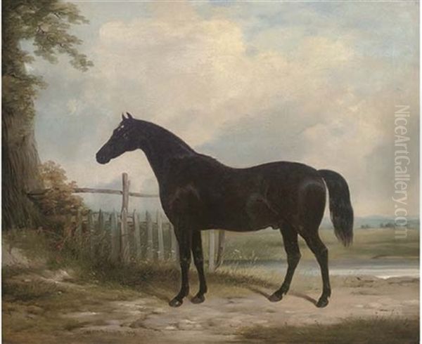 "plato", The Property Of The Marquess Of Hastings Oil Painting by William Barraud