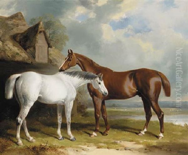 A Grey Hunter And A Chesnut Hunter Beside A Barn In A Landscape Oil Painting by William Barraud