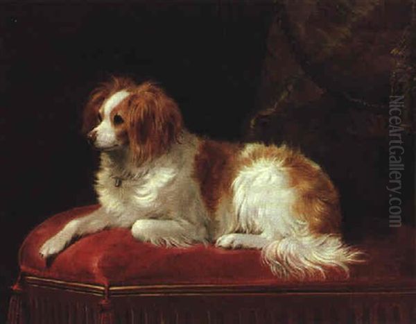 A Brown And White Spaniel Seated On A Red Cushion Oil Painting by William Barraud