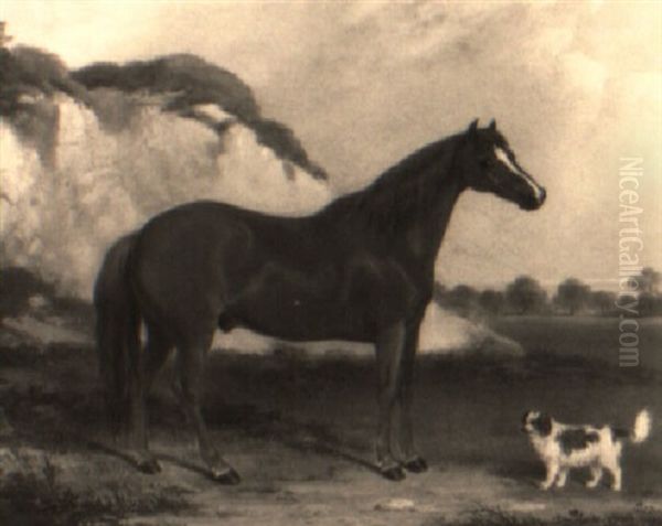 A Chestnut Horse With Spaniel In A Landscape Oil Painting by William Barraud