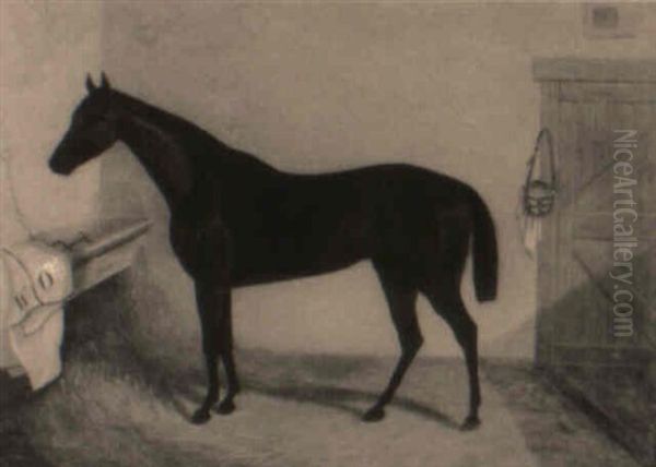 A Stallion In His Stable Oil Painting by William Barraud