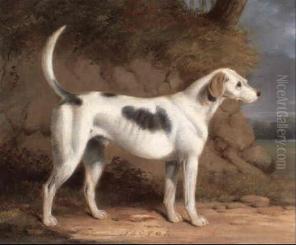 Factor, A Favorite Hound In A Landscape Oil Painting by William Barraud