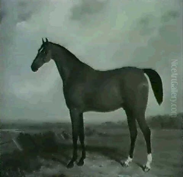 Bay Stallion Oil Painting by William Barraud