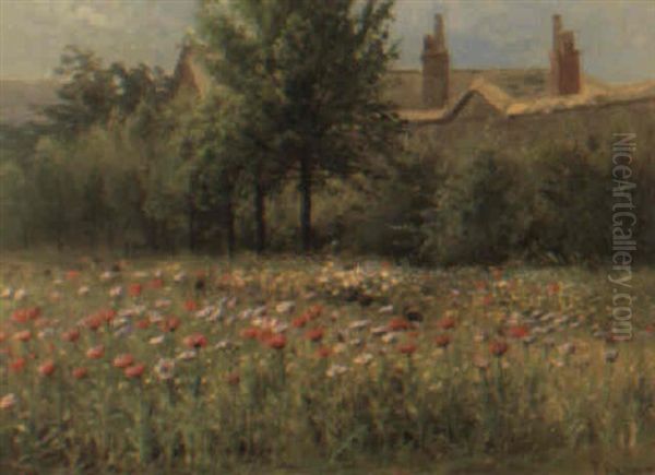 Summer Poppies Oil Painting by Jeremiah Barrett