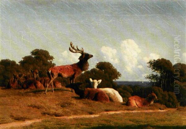 Kronhjort Med Sin Rudel I Dyrehaven Oil Painting by Carl Frederik Bartsch