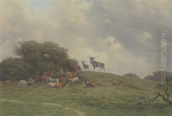 Kronhjort Med Sin Rudel I Dyrehaven Oil Painting by Carl Frederik Bartsch