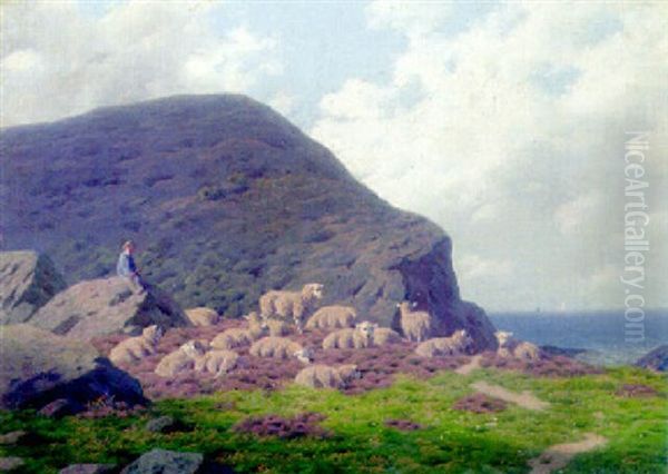 Sheep Resting On A Clifftop Oil Painting by Carl Frederik Bartsch