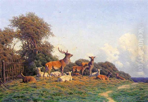 Kronhjorte Med Deres Hinder Ved Et Dyrehavehegn Oil Painting by Carl Frederik Bartsch