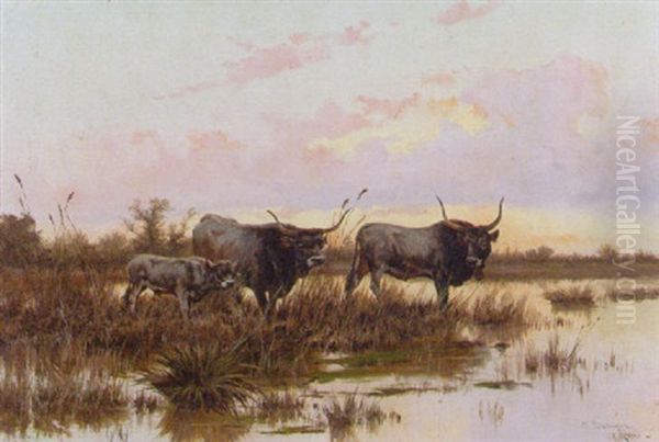 Bulls In A Water Meadow Oil Painting by Pietro Barucci