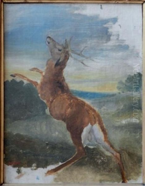 Etude De Cerf Dresse (study) Oil Painting by Antoine-louis Barye