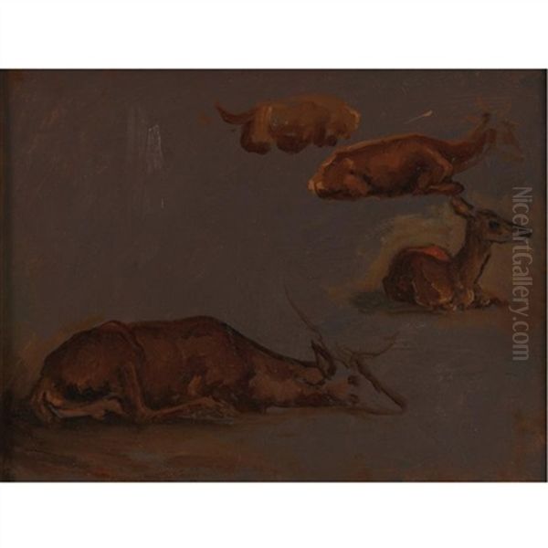 Studies Of Deer Oil Painting by Antoine-louis Barye