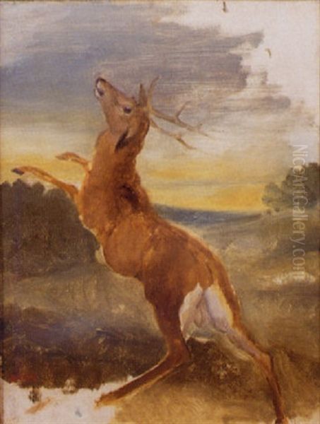 Cerf Blesse Oil Painting by Antoine-louis Barye