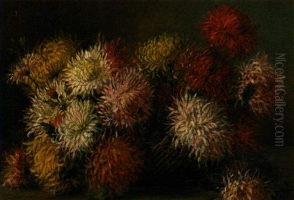 Still Life Of Crysanthemums Oil Painting by Licinio Barzanti