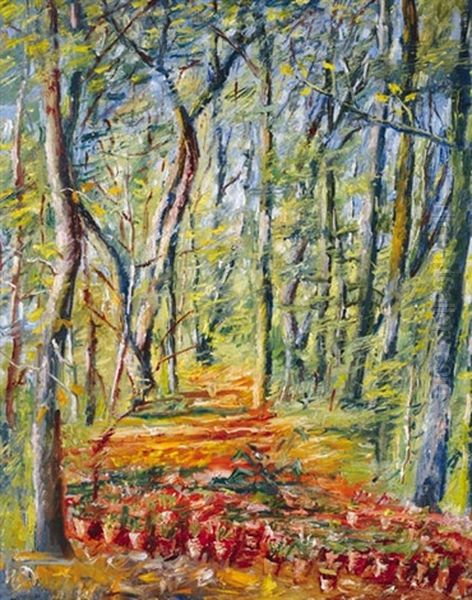 Forest Detail Oil Painting by Andor Basch