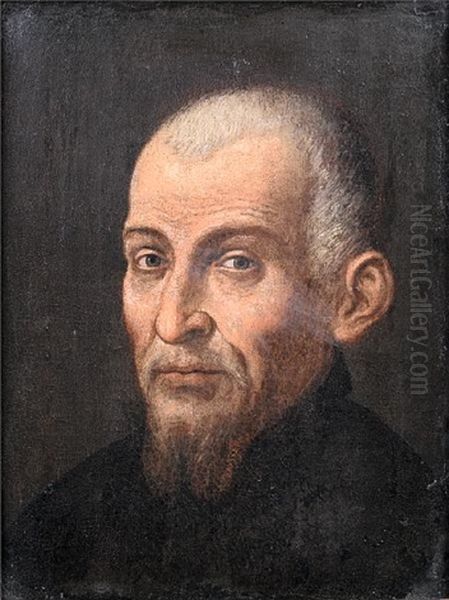 Portrait Of A Bearded Gentleman In A Black Tunic Oil Painting by Jacopo dal Ponte Bassano