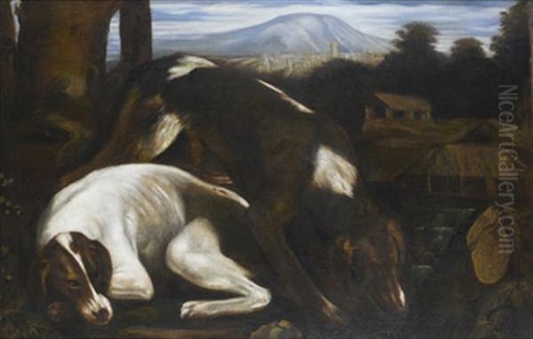 Couple De Chiens Au Repos Oil Painting by Jacopo dal Ponte Bassano