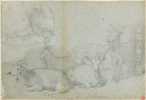 Un Berger Et Un Troupeau De Chevres (study) Oil Painting by Jacopo dal Ponte Bassano