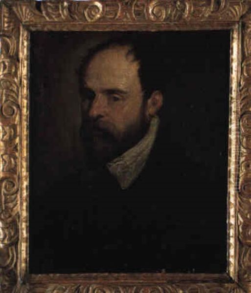 Portrait Of A Bearded Gentleman Oil Painting by Jacopo dal Ponte Bassano